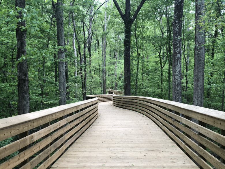 Natural beauty awaits you on our Greenway that connects High Point and Greensboro.