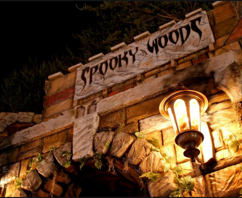 Kersey Valley is one of the area's most diverse attractions -- Escape rooms, ziplines, corn maze, and rope courses!  Do you dare to try Spooky Woods for your Halloween thrills?!?!